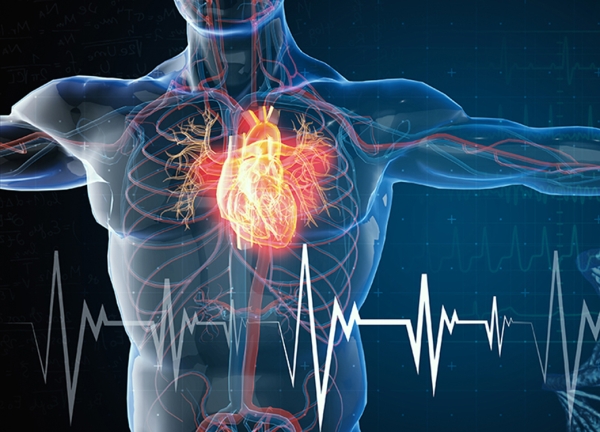 cardiology image 1
